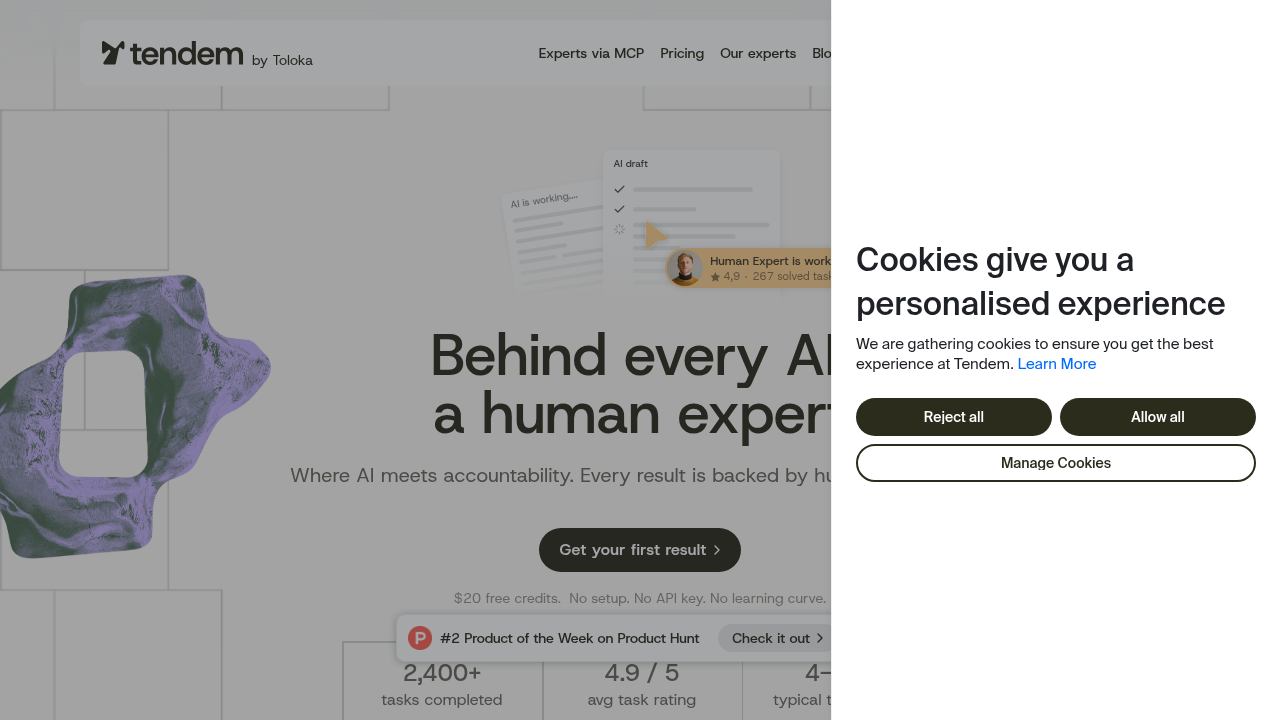 A screenshot of Tendem AI's website, a company focused on AI data and insights, mentioned for its study on hallucination costs.