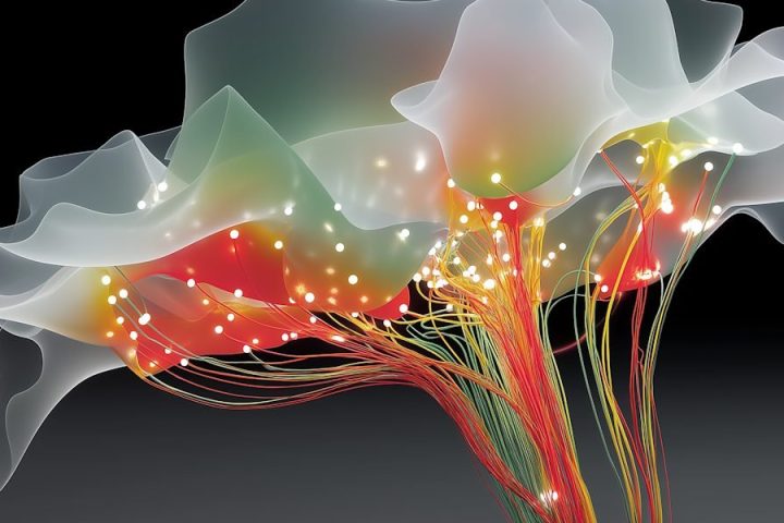 Spot AI Hallucinations Before They Damage Your Credibility