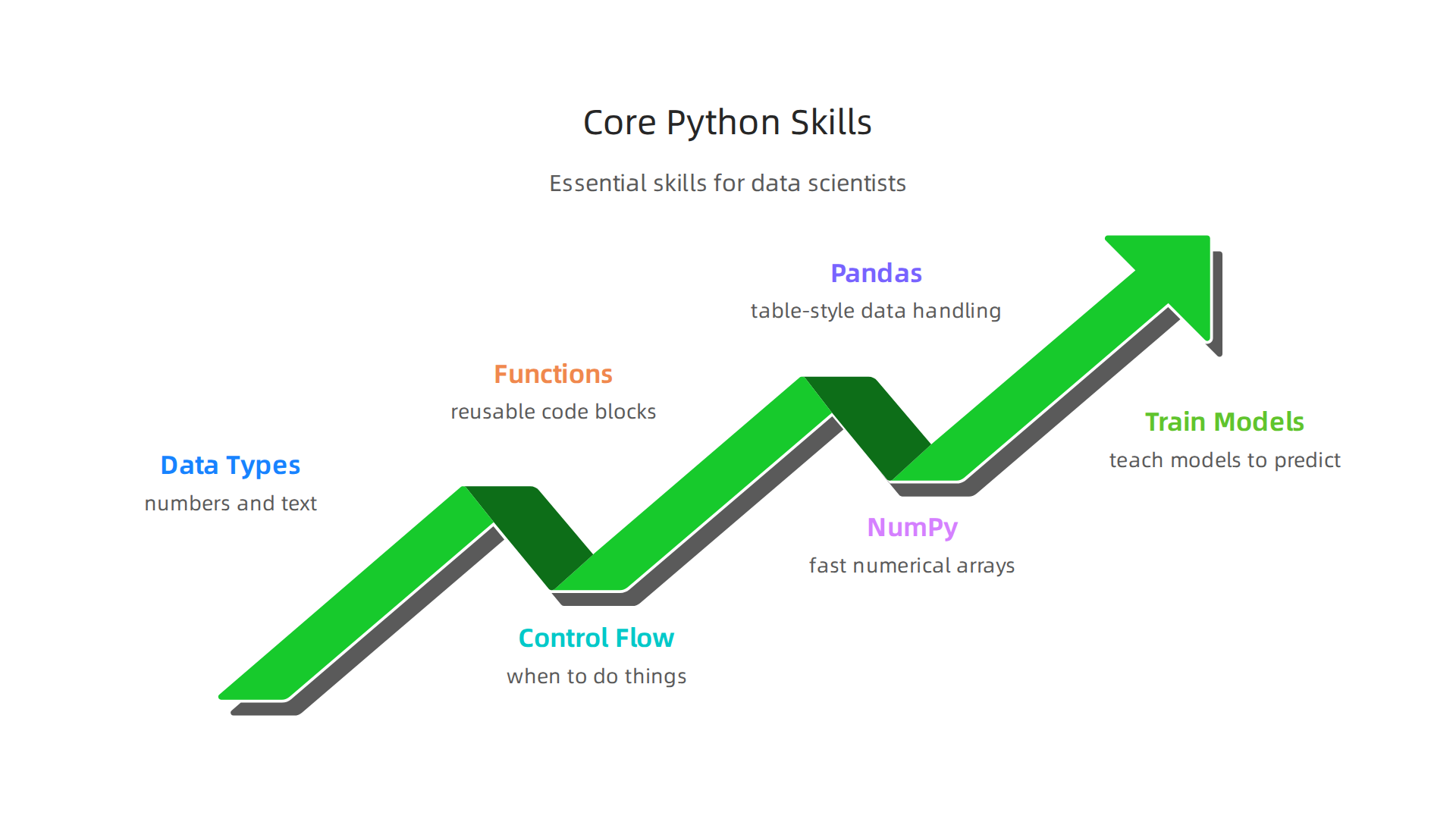 An infographic highlighting the essential Python skills, from programming basics to building smart models, crucial for data scientists.